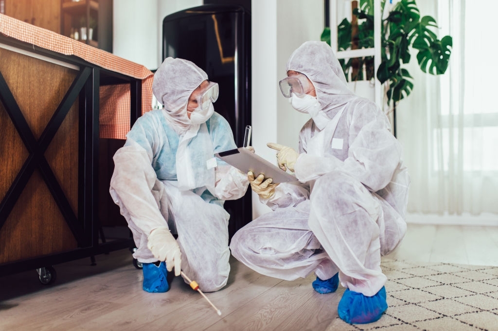 bed-bug-treatment-costs bed bug treatment costs