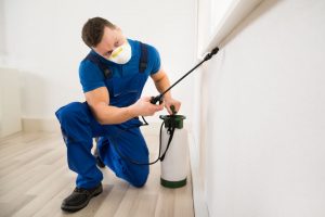 pest-control-indiana pest control indiana